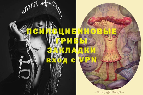 героин Алексин
